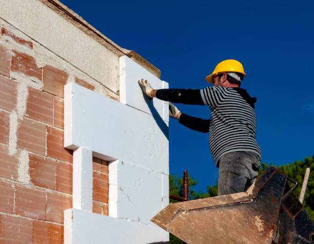 Best Insulation Removal  in Homestead Meadows South, TX