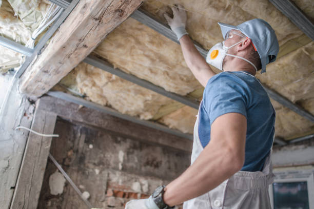 Best Garage Insulation Installation  in Homestead Meadows South, TX