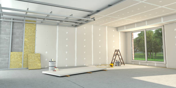 Best Insulation Replacement Services  in Homestead Meadows South, TX
